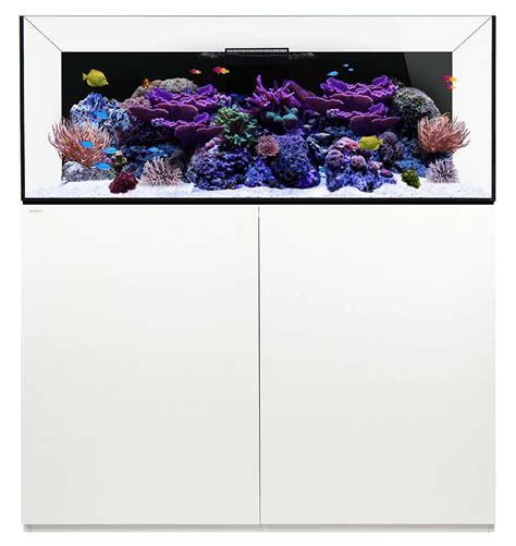 best aquarium brands|The 11 Best Rimless Aquariums (2024 REVIEWS).